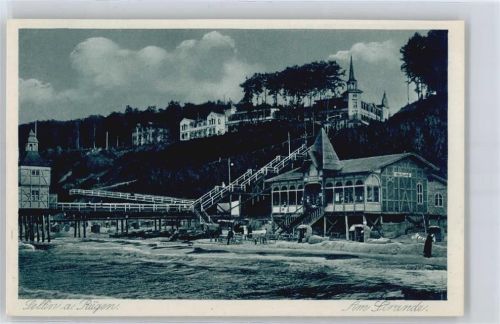 Sellin Meer Strand Haus Baum