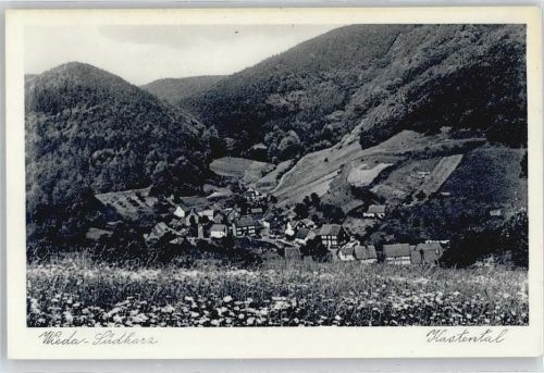 Wieda Kastental