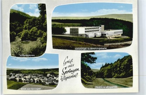 65321 W6209 Springen , Untertaunus