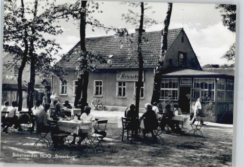 Birkenwerder Hotel Gaststätte Briesekrug Baum