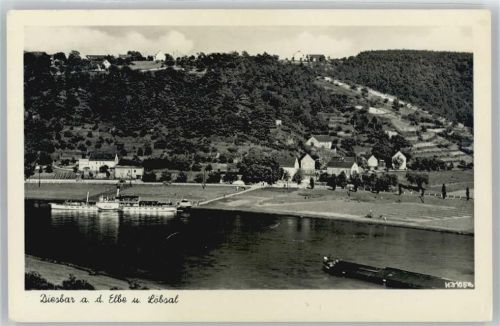 Diesbar-Seußlitz Fluss Schiff Feld Baum Haus