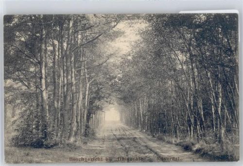 Nijverdal Waldweg