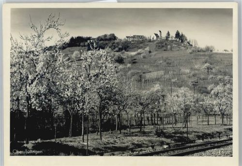 Tüllingen Gutermann Foto