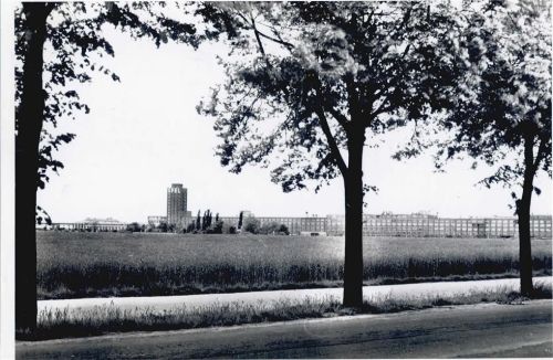 Rüsselsheim Baum Feld Haus