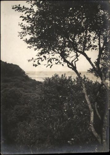 Wangerooge Foto 12x17 cm
