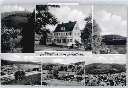 Arnoldshain Pension am Forsthaus Straße Baum Berg Wald Schwimmbad