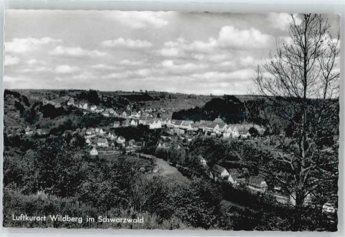 Wildberg Haus Wiese Baum