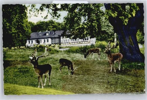 Braunfels Forsthaus im Tiergarten