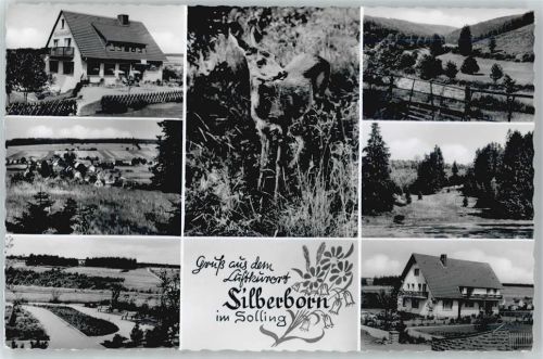 Silberborn Haus Baum Reh Zaun