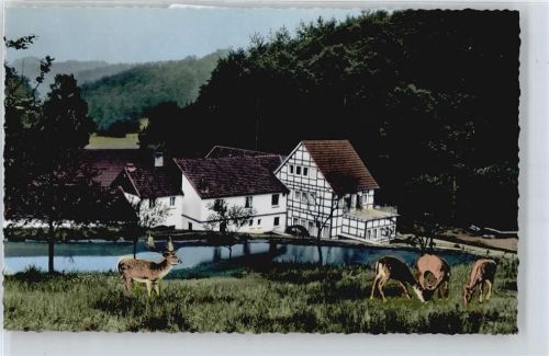 Winterscheid Hotel-Restaurant Winterscheider Mühle, Hirsche