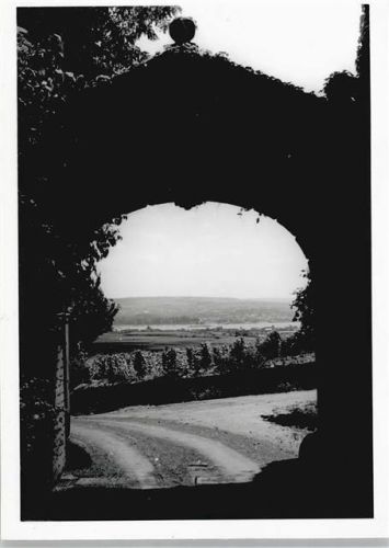 Winkel Tor Panorama Baum