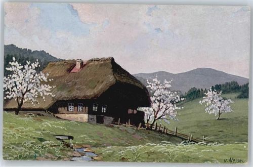 Schwarzwald No.9