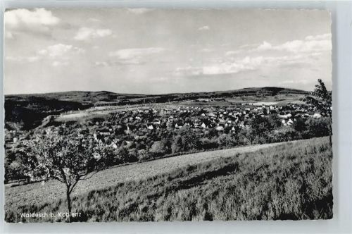 Waldesch Panorama