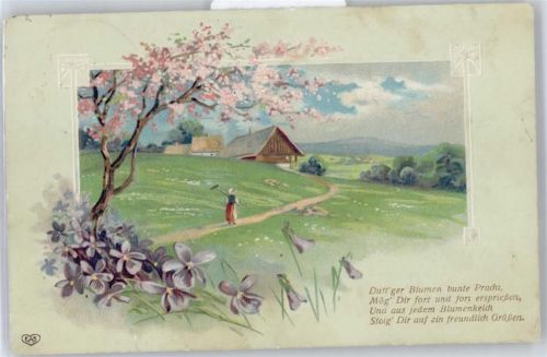 Veilchen , Prägedruck