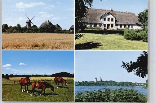 Sörup Windmühle, Pferd
