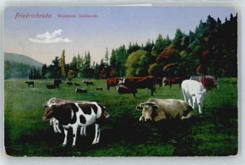Friedrichroda Kuh