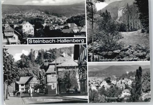 Steinbach-Hallenberg Teilansicht, Hallenburg, Finkensteine AKU2