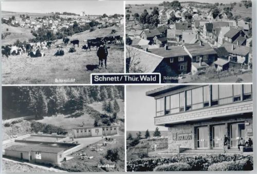 Schnett Schwimmbad, Erholungsheim Raluga, Kuh