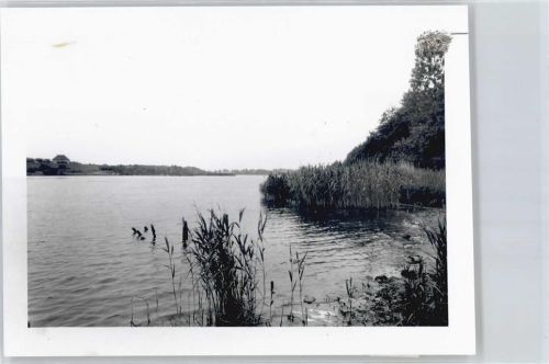 Lehmbek Foto mit Negativ