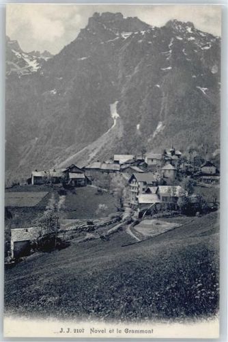 Novel Panorama
