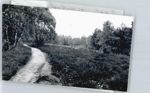 Egestorf Foto mit Negativ