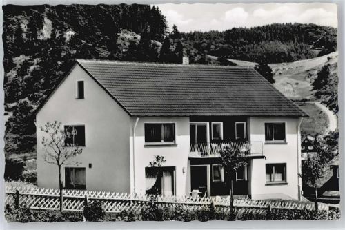 Hatzfeld Pension Bende
