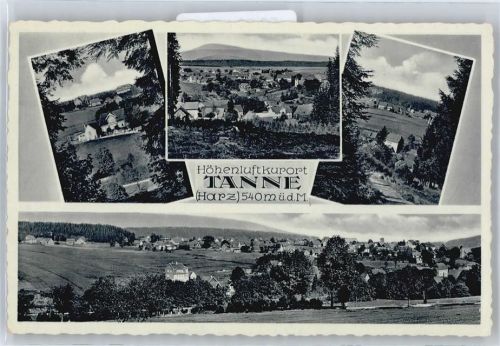 Tanne Panorama