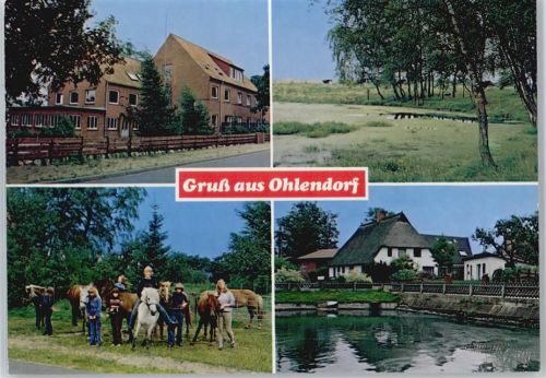 Ohlendorf Gestüt
