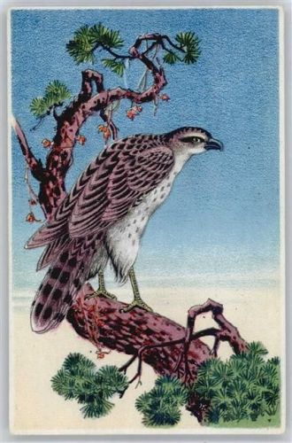 Adler