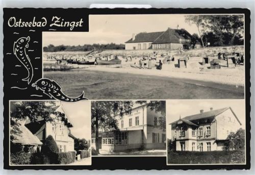 Zingst