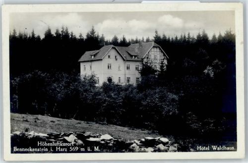Benneckenstein Hotel Waldhaus