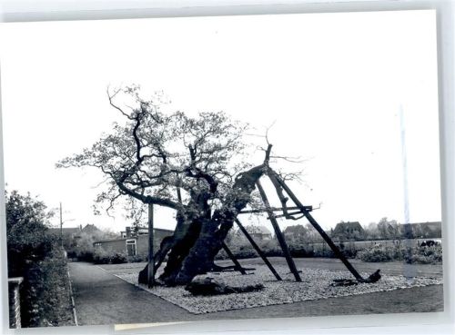 46348 W4285 Erle b Dorsten - Foto mit Negativ