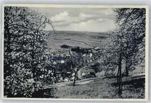 Stetten Kirschblüte