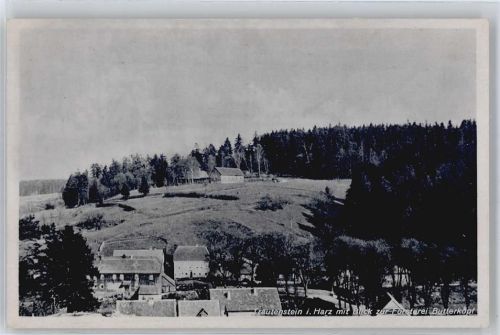 Trautenstein Blick zur Försterei Butterkopf