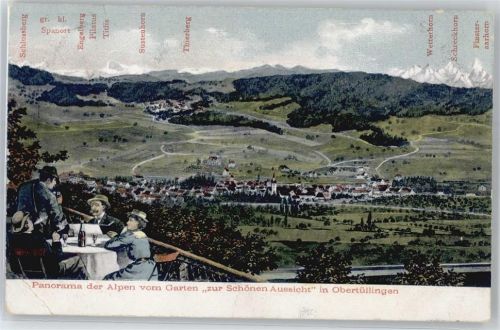 Tüllingen Blick vom Garten zur Schönen Aussicht, Panorama der Alpen