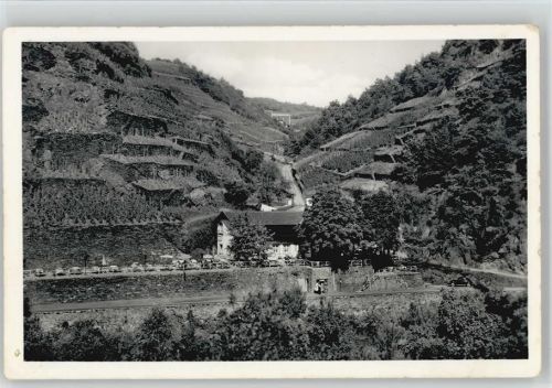 Ahrweiler Bunte Kuh