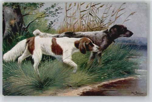 Jagdhunde