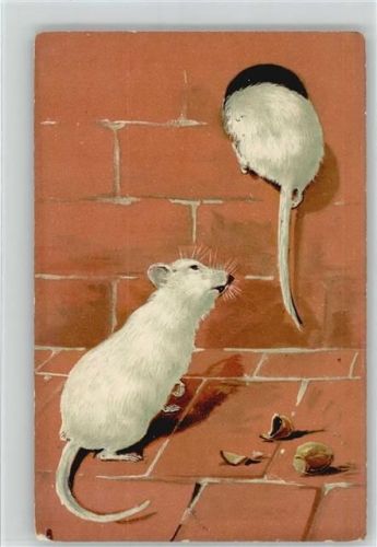 Mäuse, Mauseloch, Haselnuß, Verlag Tuck, Art Series 1019 Maus Prägedruck