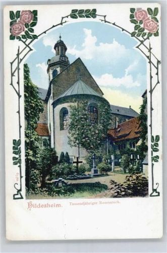 Hildesheim Dom, 1000-jähriger Rosenstock