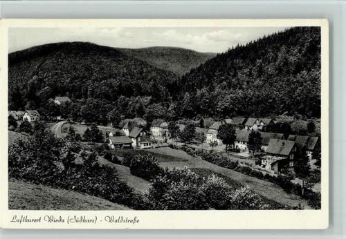 Wieda Waldstraße