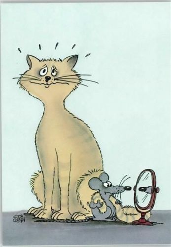 Künstler sign Ulli Stein Humor Katze