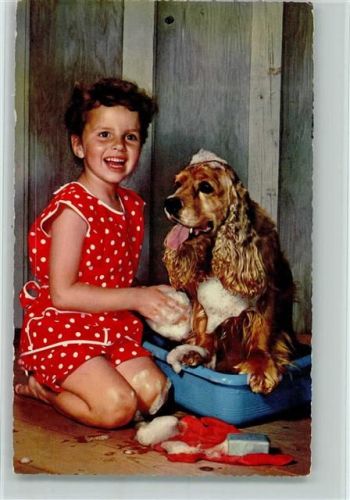 Cockerspaniel wird von Mädchen gebadet