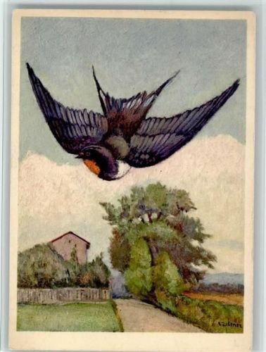 1953 Sign Jean Zeltner - Rauchschwalbe