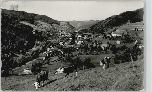 79263 W7809 Altsimonswald