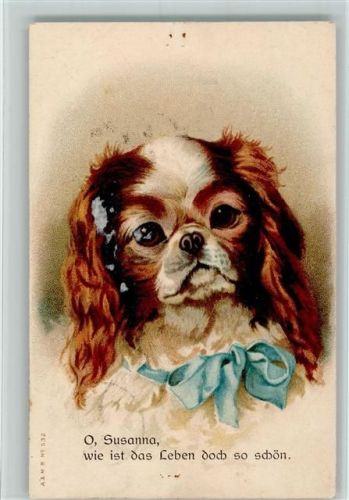 1908 Pekinese