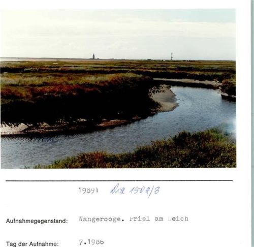Wangerooge Priel am Deich Foto montiert auf Karton