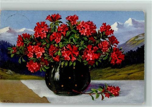 1935 sign W. Früh - Blumenvase AK