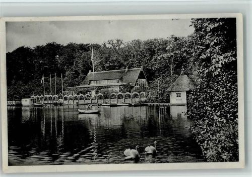 Neukloster Wald-See-Haus Klosterkrug Schwäne