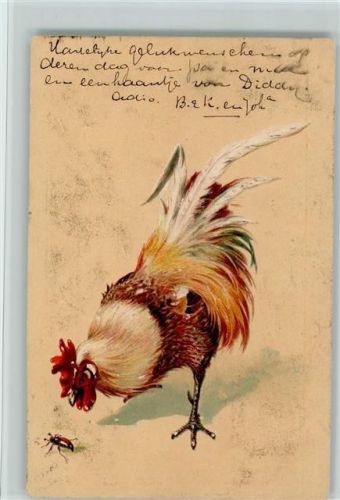1904 Verlag PFB 2905 Hahn mit einem Insekt, Käfer AK