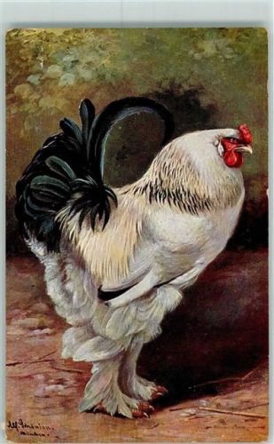 1914 sign Schönian - Geflügel